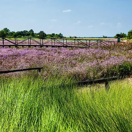 Debby 01 Prázdninový dům *